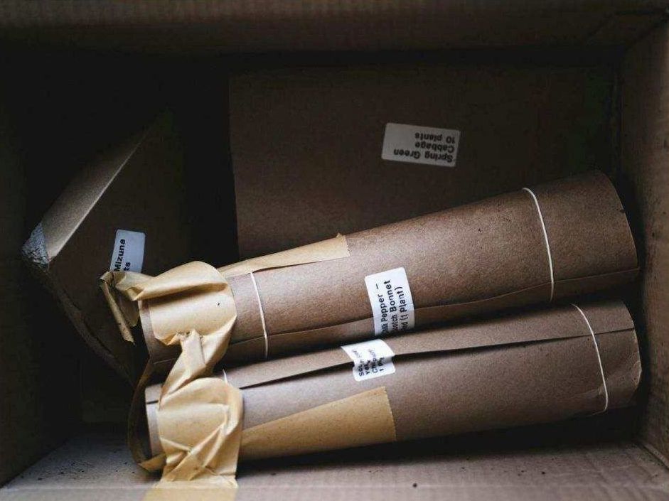 Courier delivering parcel to doorstep